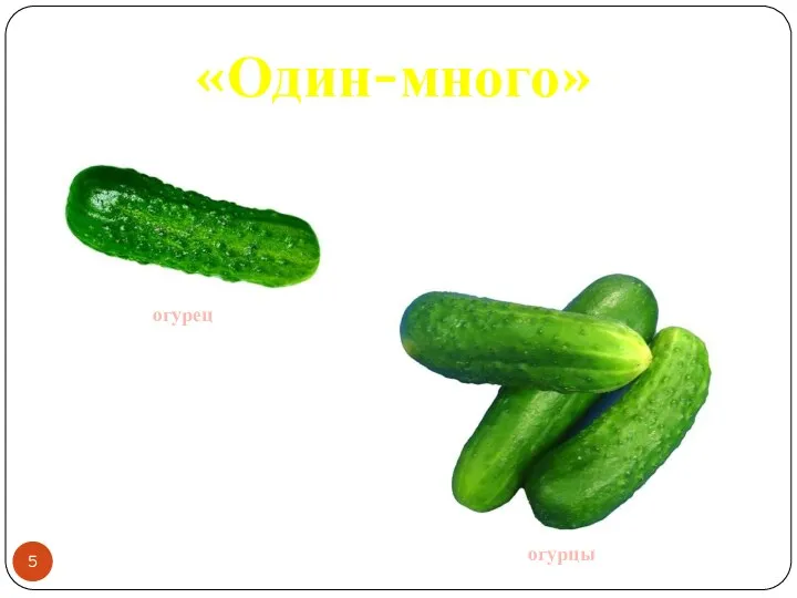 «Один-много» огурец огурцы