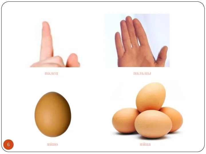 палец пальцы яйцо яйца