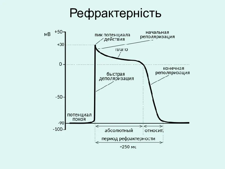 Рефрактерність