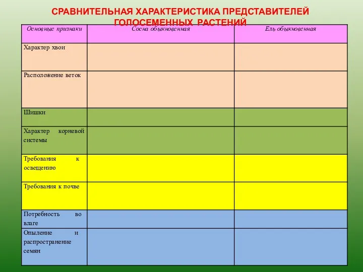 СРАВНИТЕЛЬНАЯ ХАРАКТЕРИСТИКА ПРЕДСТАВИТЕЛЕЙ ГОЛОСЕМЕННЫХ РАСТЕНИЙ