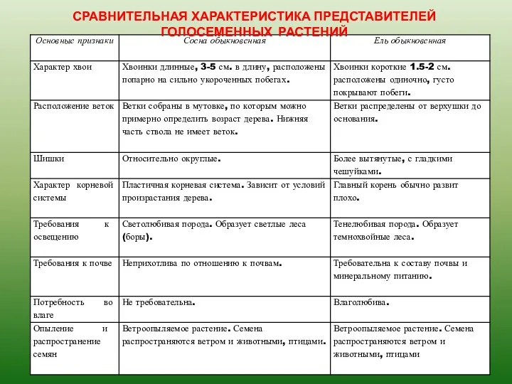 СРАВНИТЕЛЬНАЯ ХАРАКТЕРИСТИКА ПРЕДСТАВИТЕЛЕЙ ГОЛОСЕМЕННЫХ РАСТЕНИЙ