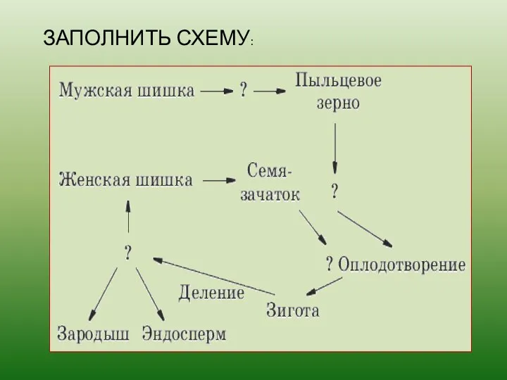 ЗАПОЛНИТЬ СХЕМУ: