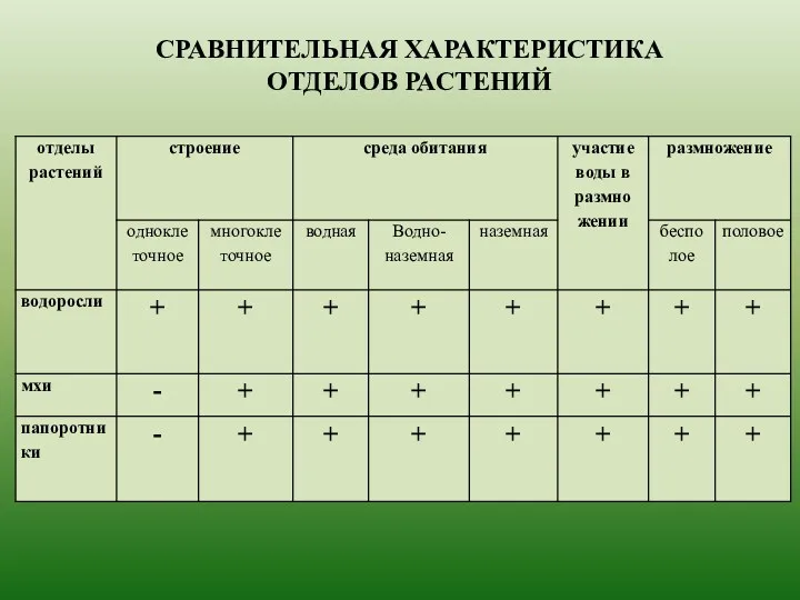 СРАВНИТЕЛЬНАЯ ХАРАКТЕРИСТИКА ОТДЕЛОВ РАСТЕНИЙ