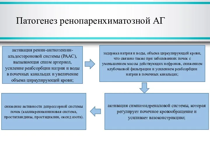 Патогенез ренопаренхиматозной АГ активация ренин-ангиотензин-альдостероновой системы (РААС), вызывающая спазм артериол,