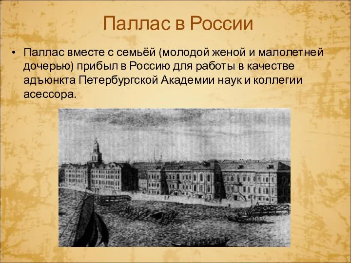 Паллас в России Паллас вместе с семьёй (молодой женой и малолетней дочерью) прибыл