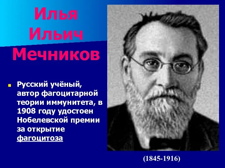 Илья Ильич Мечников Русский учёный, автор фагоцитарной теории иммунитета, в