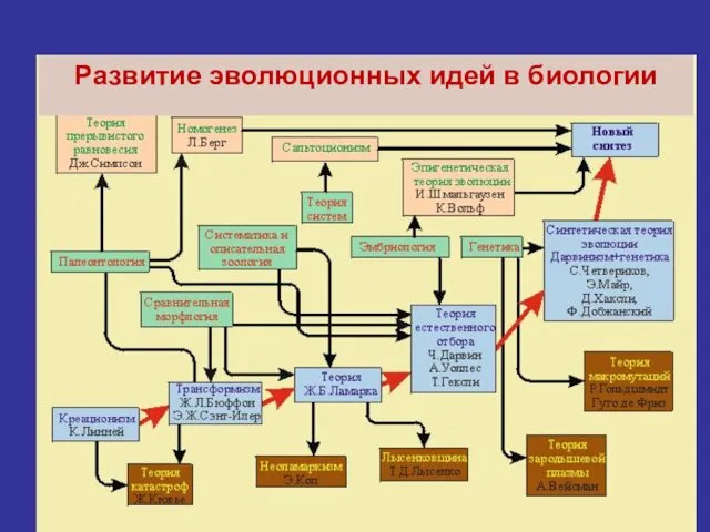 Развитие эволюционных идей в биологии