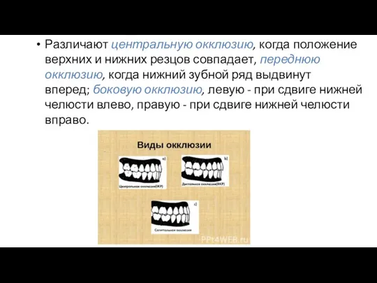 Различают центральную окклюзию, когда положение верхних и нижних резцов совпадает,