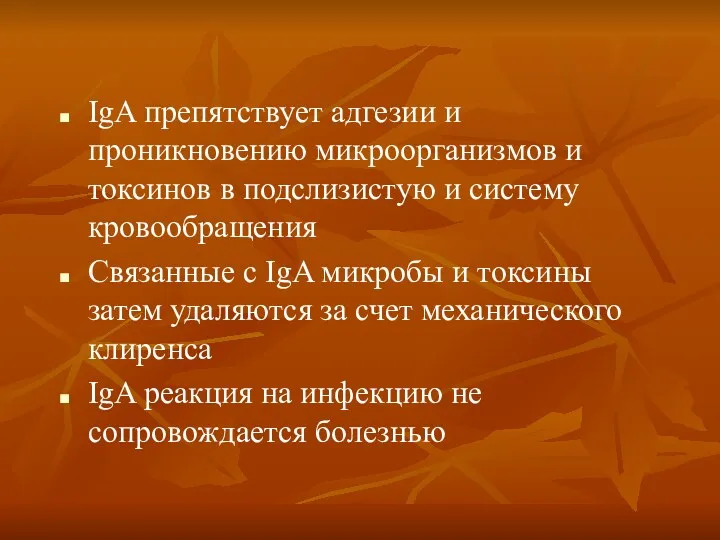 IgA препятствует адгезии и проникновению микроорганизмов и токсинов в подслизистую