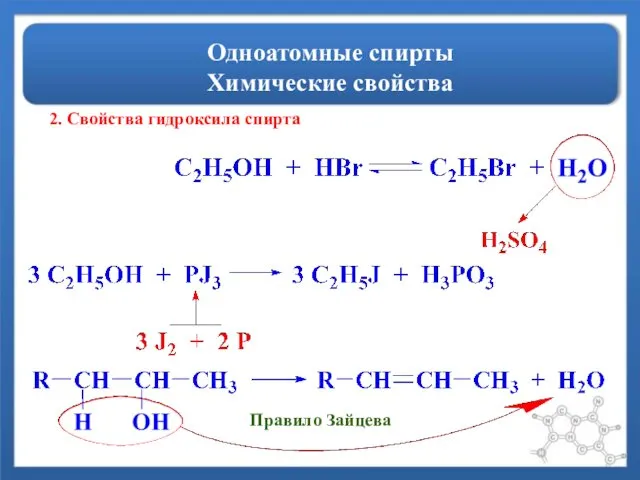 Одноатомные спирты Химические свойства 2. Свойства гидроксила спирта Правило Зайцева