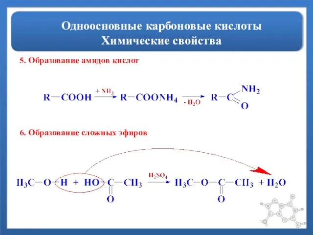 Одноосновные карбоновые кислоты Химические свойства 5. Образование амидов кислот 6. Образование сложных эфиров