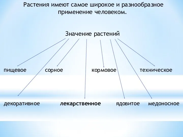 Растения имеют самое широкое и разнообразное применение человеком. Значение растений