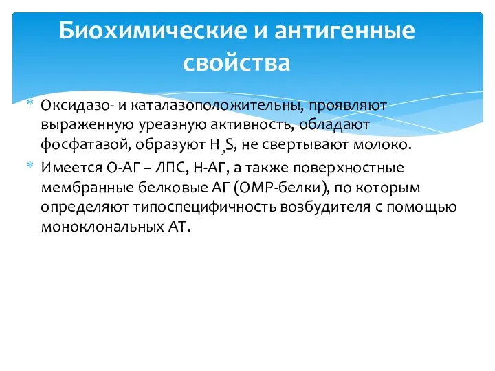 Оксидазо- и каталазоположительны, проявляют выраженную уреазную активность, обладают фосфатазой, образуют