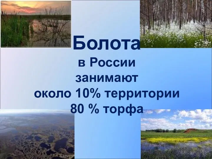 Болота в России занимают около 10% территории 80 % торфа