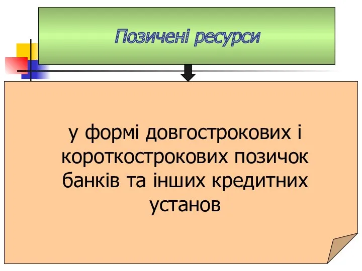 Позичені ресурси у формі довгострокових і короткострокових позичок банків та інших кредитних установ