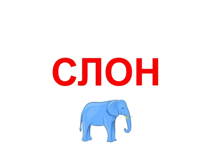 СЛОН