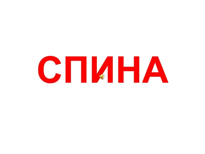 СПИНА