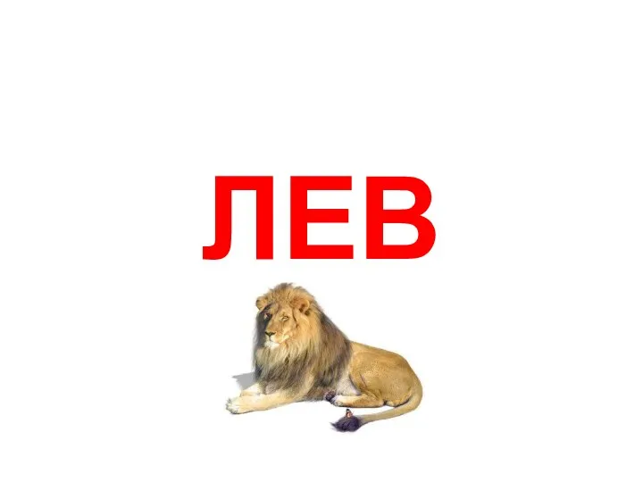 ЛЕВ