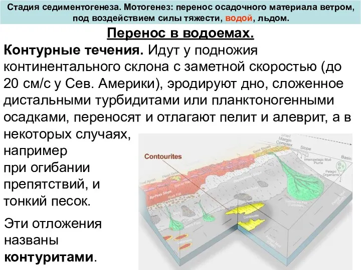 Перенос в водоемах. Контурные течения. Идут у подножия континентального склона