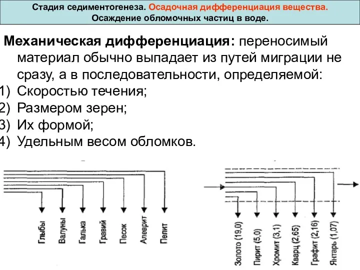 Стадия седиментогенеза. Осадочная дифференциация вещества. Осаждение обломочных частиц в воде.