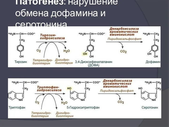 Патогенез: нарушение обмена дофамина и серотонина.