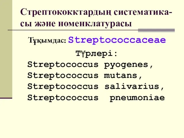 Стрептококктардың систематика- сы және номенклатурасы Тұқымдас: Streptococcaceae Түрлері: Streptococcus pyogenes, Streptococcus mutans, Streptococcus salivarius, Streptococcus pneumoniae