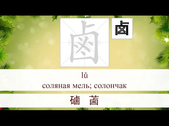 lǔ соляная мель; солончак 磠 蓾 卤