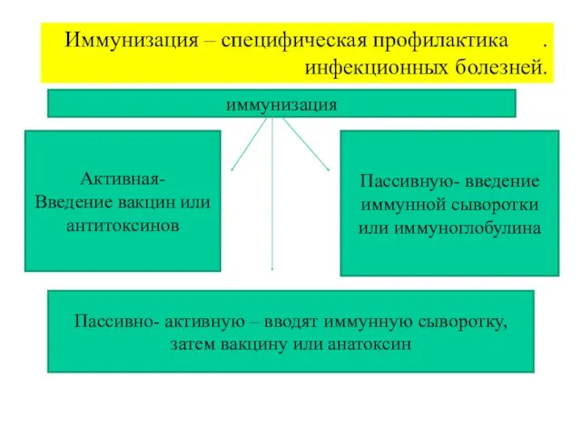 Иммунизация – специфическая профилактика . инфекционных болезней. иммунизация Активная- Введение