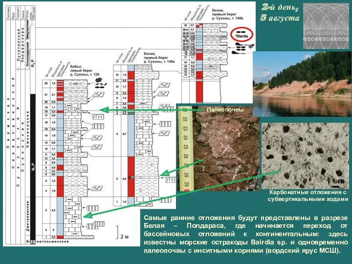 Карбонатные отложения с субвертикальными ходами 1 cm Палеопочвы Самые ранние