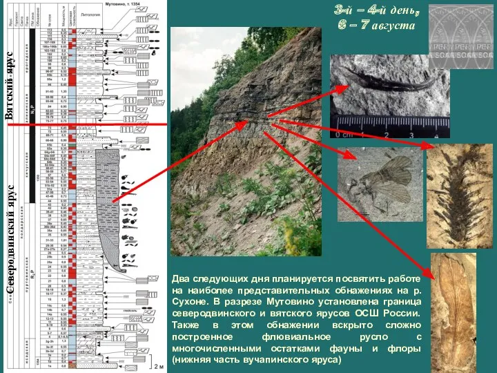 Два следующих дня планируется посвятить работе на наиболее представительных обнажениях