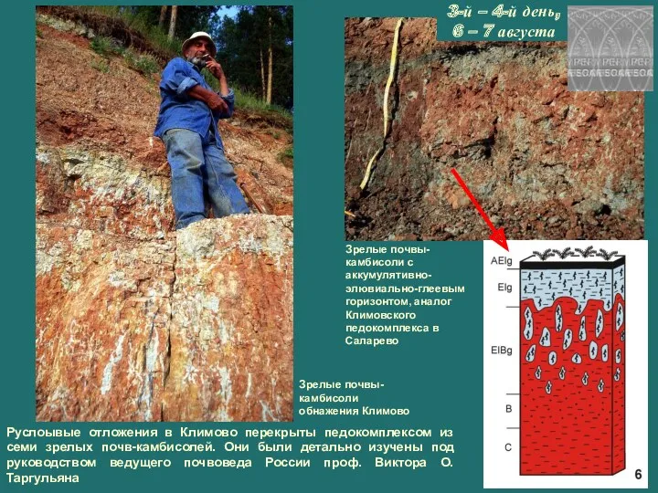 Руслоывые отложения в Климово перекрыты педокомплексом из семи зрелых почв-камбисолей.
