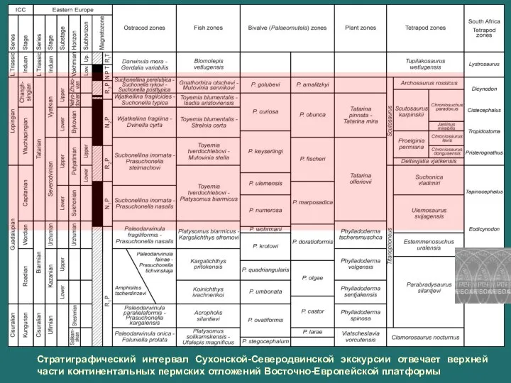 Стратиграфический интервал Сухонской-Северодвинской экскурсии отвечает верхней части континентальных пермских отложений Восточно-Европейской платформы