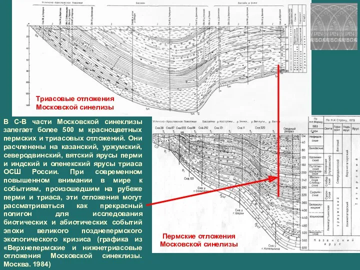 В С-В части Московской синеклизы залегает более 500 м красноцветных