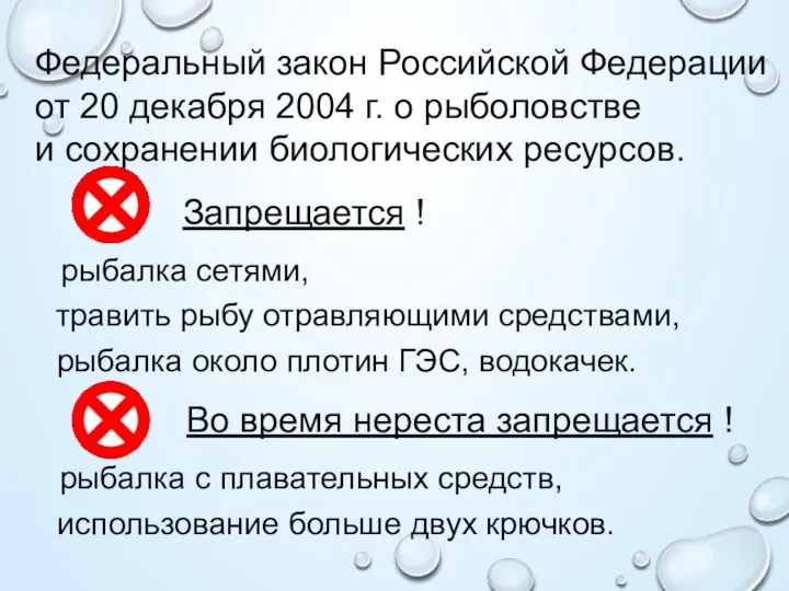 Федеральный закон Российской Федерации от 20 декабря 2004 г. о