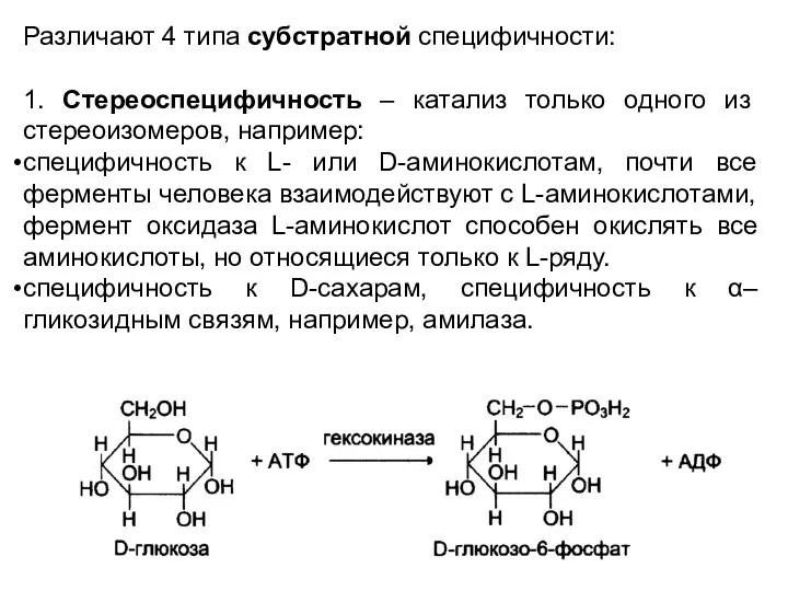 Различают 4 типа субстратной специфичности: 1. Стереоспецифичность – катализ только