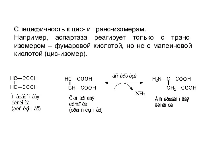 Специфичность к цис- и транс-изомерам. Например, аспартаза реагирует только с