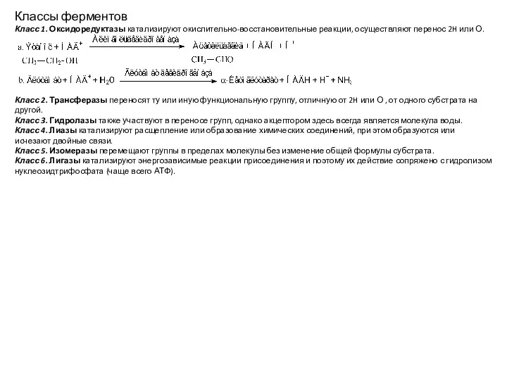 Классы ферментов Класс 1. Оксидоредуктазы катализируют окислительно-восстановительные реакции, осуществляют перенос