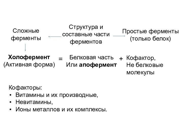 Кофакторы: Витамины и их производные, Невитамины, Ионы металлов и их комплексы.