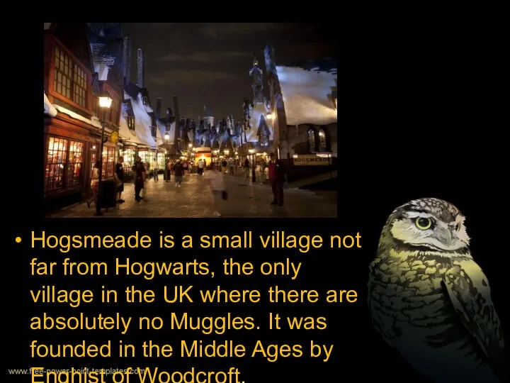 Hogsmeade is a small village not far from Hogwarts, the