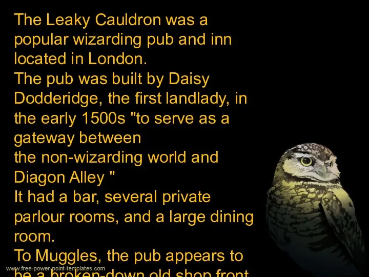 The Leaky Cauldron was a popular wizarding pub and inn
