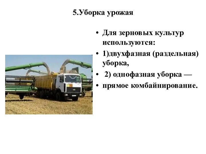 5.Уборка урожая Для зерновых культур используются: 1)двухфазная (раздельная) уборка, 2) однофазная уборка — прямое комбайнирование.
