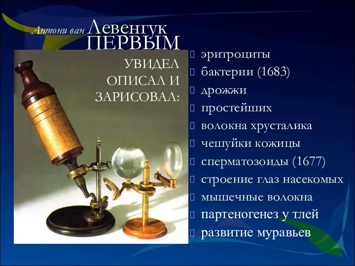 эритроциты бактерии (1683) дрожжи простейших волокна хрусталика чешуйки кожицы сперматозоиды