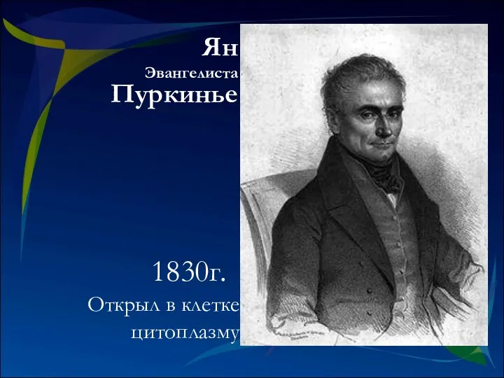 Открыл в клетке цитоплазму Ян Эвангелиста Пуркинье 1830г.