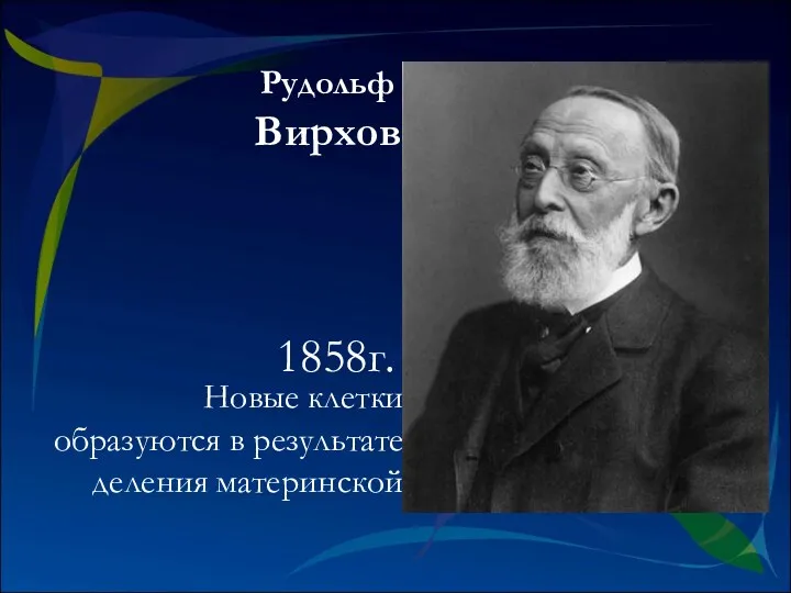 Новые клетки образуются в результате деления материнской Рудольф Вирхов 1858г.