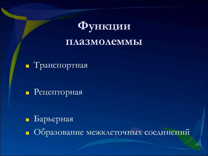 Функции плазмолеммы Транспортная Рецепторная Барьерная Образование межклеточных соединений