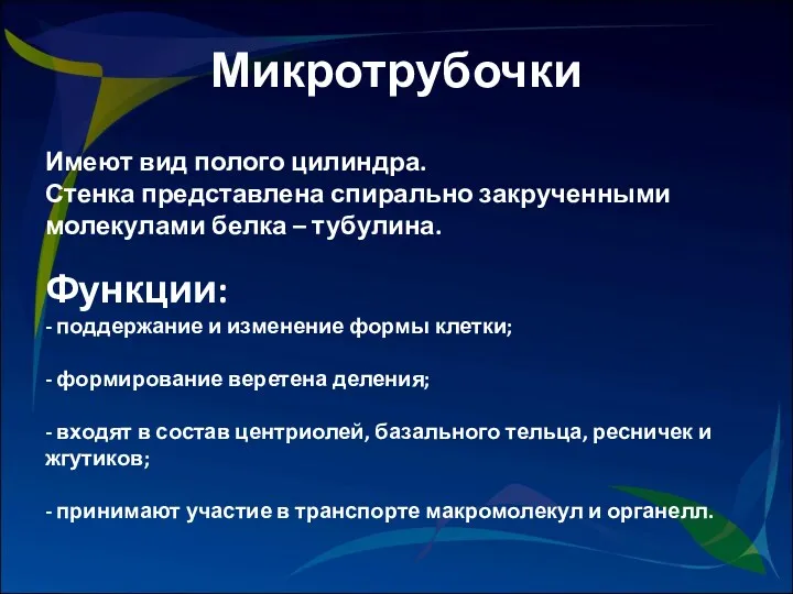 Имеют вид полого цилиндра. Стенка представлена спирально закрученными молекулами белка