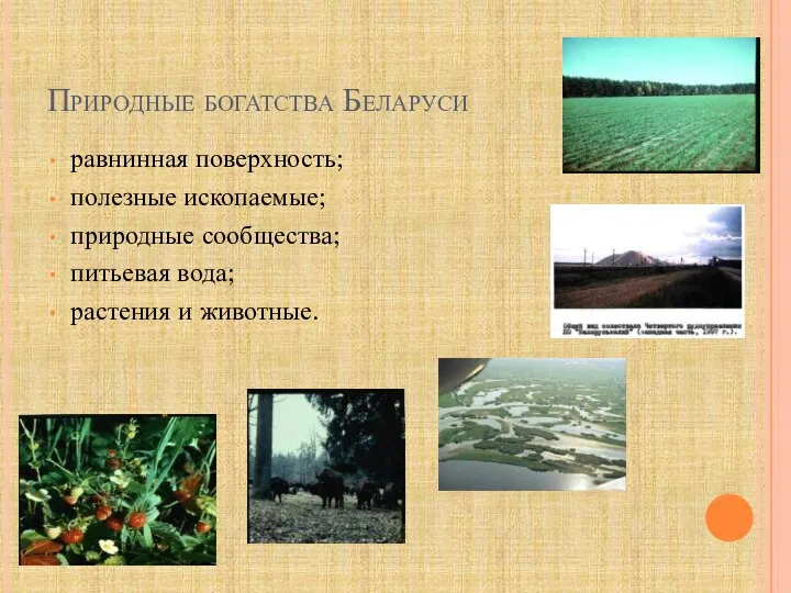 Природные богатства Беларуси равнинная поверхность; полезные ископаемые; природные сообщества; питьевая вода; растения и животные.