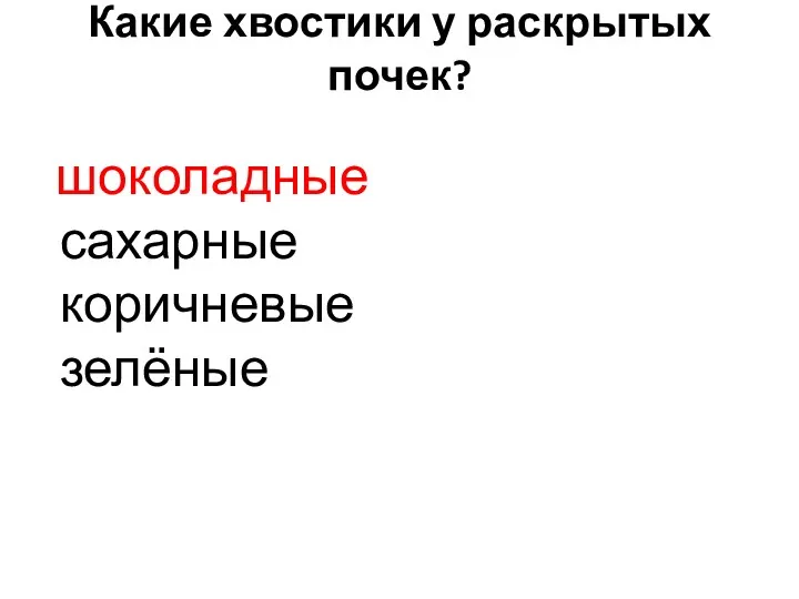 Какие хвостики у раскрытых почек? шоколадные сахарные коричневые зелёные