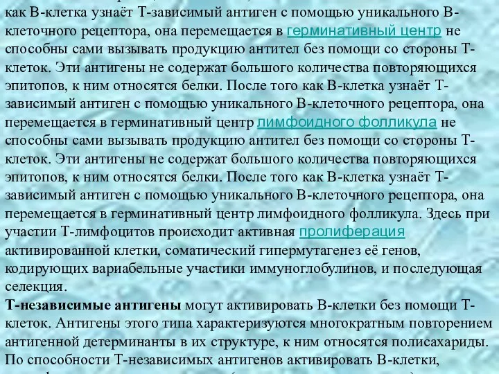 Т-зависимые антигены не способны сами вызывать продукцию антител без помощи