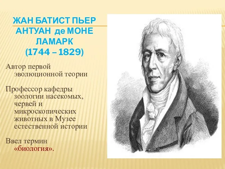 Автор первой эволюционной теории Профессор кафедры зоологии насекомых, червей и